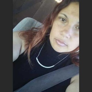 Nata_fox